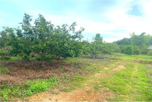 30,429 Sqm. Land listed for ฿ 15,000,000.