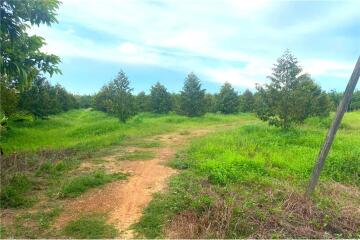 30,429 Sqm. Land listed for ฿ 15,000,000.