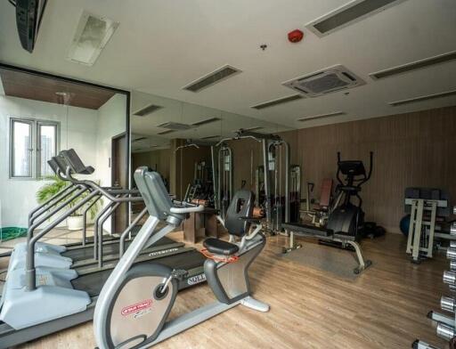 Beautiful 3 Bedroom Apartment in Asoke