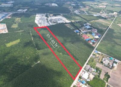 Land for sale in Ban Bueng, Nong Irun, behind the Smart Concrete Factory.