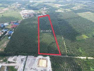 Land for sale in Ban Bueng, Nong Irun, behind the Smart Concrete Factory.