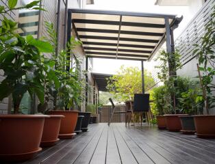 4 Bedroom House For Sale in Phra Khanong