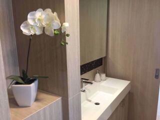 1 bed Condo in Downtown Forty Nine Khlong Tan Nuea Sub District C08668