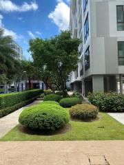 Condo for sale and rent, Sriracha, Casa Condo Sriracha, quiet,  move in ready