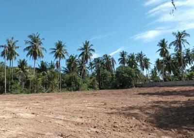 Land for sale in Pattaya Thung Klom-Tan Man, Nong Prue, Bang Lamung, Chonburi