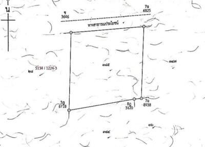 Land for sale in Pattaya Thung Klom-Tan Man, Nong Prue, Bang Lamung, Chonburi