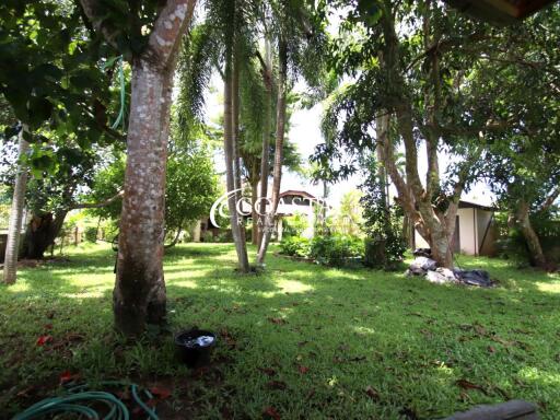 House For Sale Baan Amphur