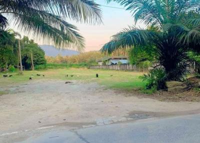 Land for sale, good location in Sriracha, area 1 rai.