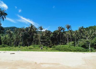 Land for Sale in Koh Lanta, Krabi