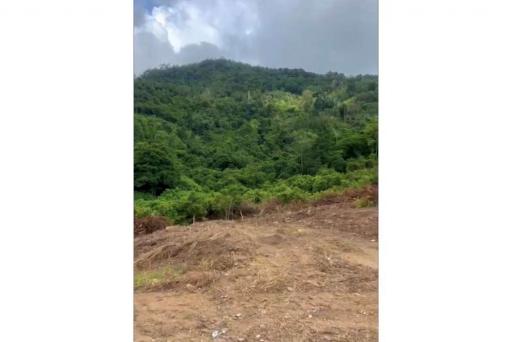 Seaview Land for sale with surrounded by nature - 920121030-178