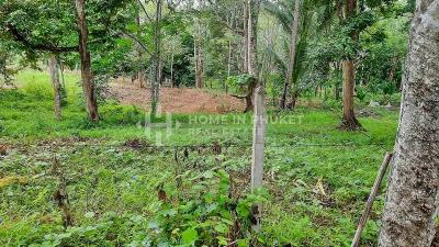 3 Rai Land near Robinson Lifestyle