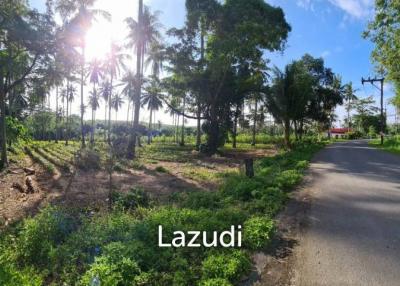 Land 73,600 SQ.M. 500 Meters From Maikhao Beach