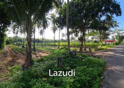 Land 73,600 SQ.M. 500 Meters From Maikhao Beach