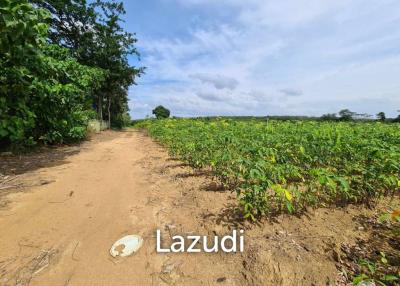Land 73,600 SQ.M. 500 Meters From Maikhao Beach