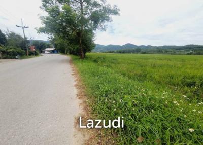 15 Rai Beautiful Land For Sale in Ban Du