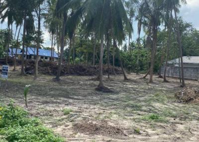 Prime Land in Bantai Beach, Koh Samui: 2.93 Rai