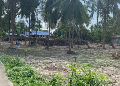 Prime Land in Bantai Beach, Koh Samui: 2.93 Rai