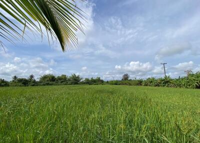 A pool villa 4 bed for sale in Mae Tang, Chiang Mai