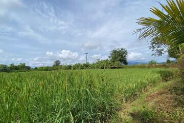 A pool villa 4 bed for sale in Mae Tang, Chiang Mai