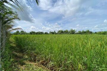 A pool villa 4 bed for sale in Mae Tang, Chiang Mai