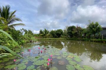 A pool villa 4 bed for sale in Mae Tang, Chiang Mai