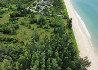 Beachfront paradise: Exceptional land for sale in Natai beach, Khokkloi, Phangnga