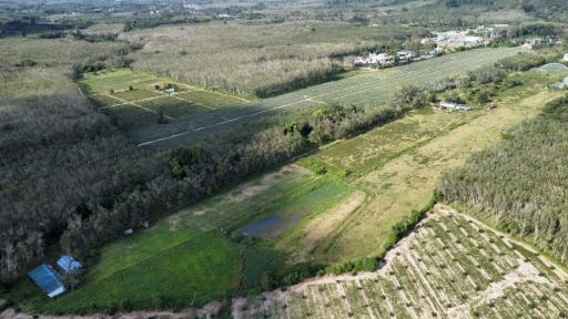 Prime Green Land with Pool Villa Project in Khok Kloi, Phang Nga