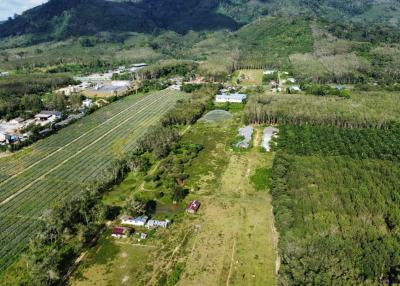 Prime Green Land with Pool Villa Project in Khok Kloi, Phang Nga