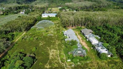 Prime Green Land with Pool Villa Project in Khok Kloi, Phang Nga