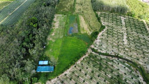 Prime Green Land with Pool Villa Project in Khok Kloi, Phang Nga