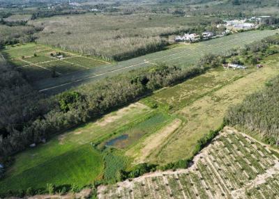 Prime Green Land with Pool Villa Project in Khok Kloi, Phang Nga