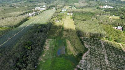 Prime Green Land with Pool Villa Project in Khok Kloi, Phang Nga