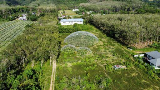 Prime Green Land with Pool Villa Project in Khok Kloi, Phang Nga