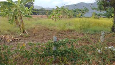 Land for sale in Rawai