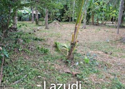 Land for Sale in Lamai, Koh Samui - Ideal Location closed to international school