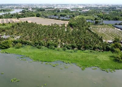 Urgent Sale: Riverside Land near Tha Chin River, 110 meters wide, located in Sam Phran District, Nakhon Pathom Province.