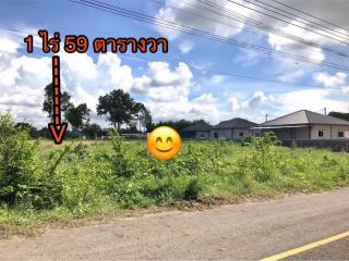 Land for sale in Phanat Nikhom, cheap price, great location, Sa Si Liam, Chonburi.
