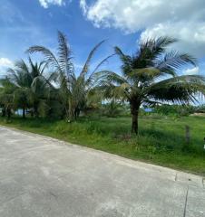 Land for sale in Cherngtalay