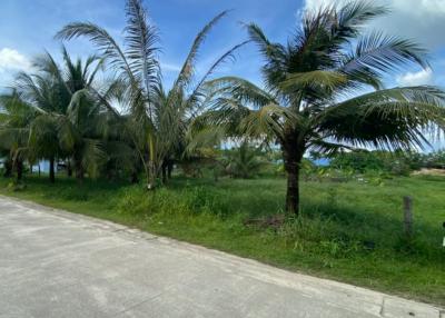 Land for sale in Cherngtalay