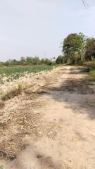 Takhian Tia land for sale, beautiful plot, great price, can enter and exit in many ways, Chonburi.