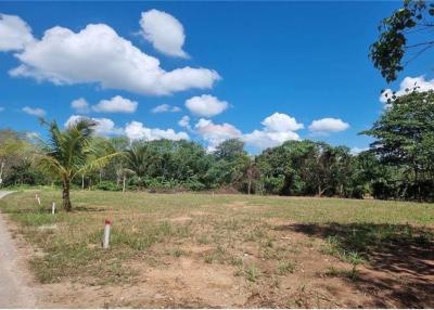 Land plot for sale 393.6 SQ.M  Khanom, Nakhon Si Thammarat - 920121001-1824