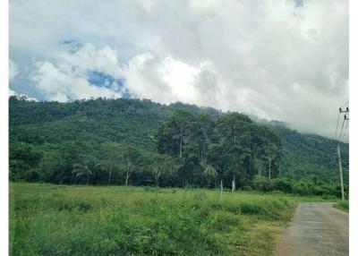 Seaview land next to waterfalls