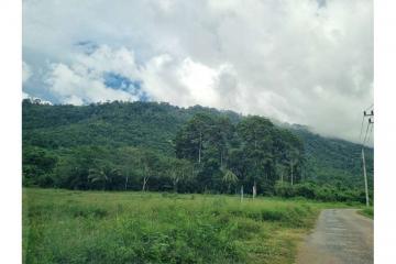 Seaview land next to waterfalls