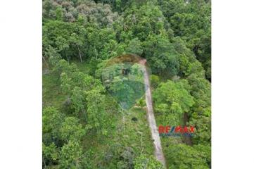 Land Middle between waterfall and mountain