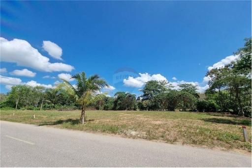 Land plot for sale ,valuable for Investment Khanom, Nakhon Si - 920121001-1821