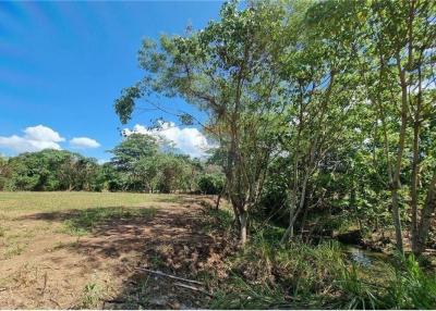 Land plot for sale ,perfect for living or Investment Khanom, Nakhon Si Thammarat - 920121001-1822