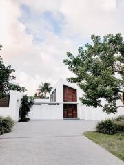 Modern white residential building facade with wooden elements and driveway