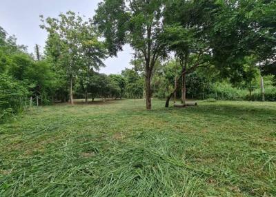 Land for sale in Bang Phra, Sriracha, cheap price, near Khao Kheow Zoo, Chonburi.