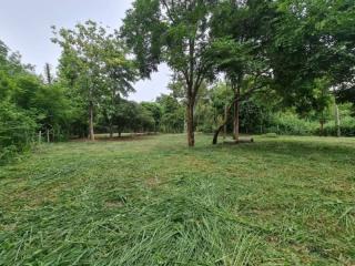 Land for sale in Bang Phra, Sriracha, cheap price, near Khao Kheow Zoo, Chonburi.