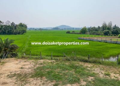 1-Rai of Prime Land for Sale in Luang Nuea, Doi Saket, Chiang Mai